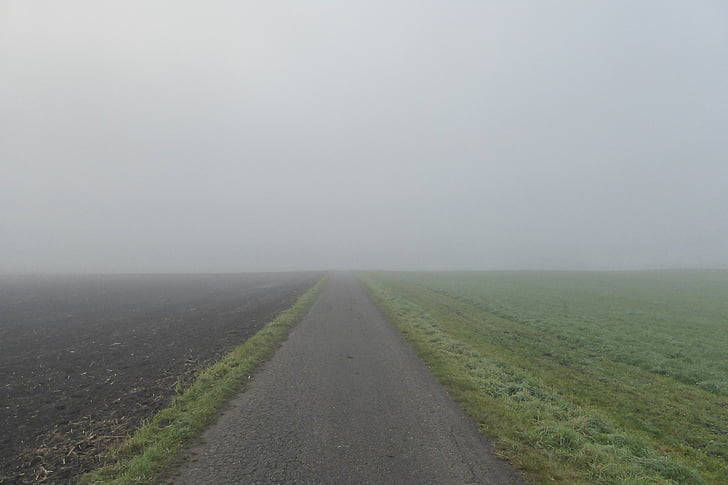 brouillard, terres arables, Meadow, suite, humeur