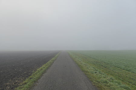 fog, arable, meadow, away, mood