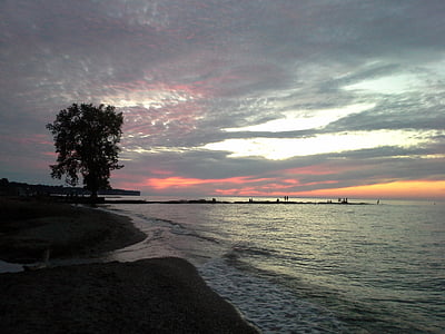 Eriesjøen, solnedgang, stranden, treet, Sommer, kveld, Park