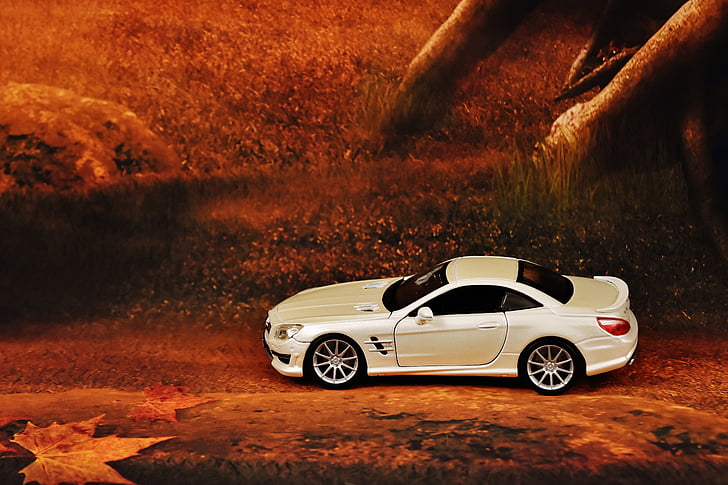 mercedes benz, forest, white, sports car, sporty, chic, car