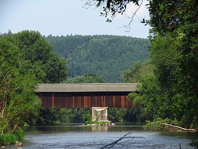 Bridge, træ, floden, skov
