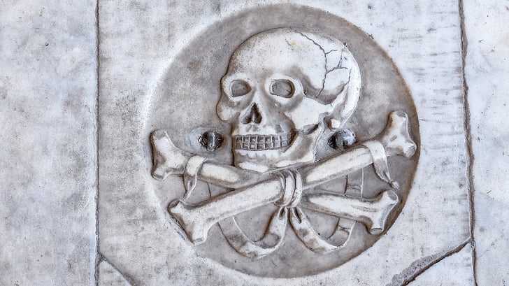 crani, gravat, marbre, tomba, Pisa, símbol