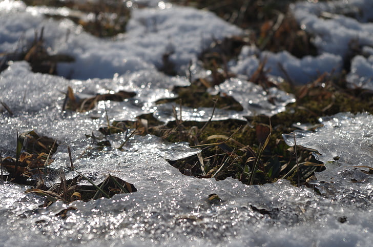 น้ำแข็ง, หิมะ, ฤดูหนาว, น้ำค้างแข็ง, ze, แช่แข็ง, ธรรมชาติ