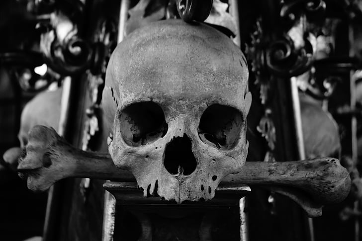 Skull og krydsede, kranium, knogle kirke, kirke, Kutna hora, Sedlec, benhuset