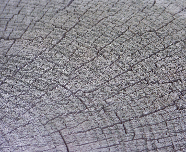 kayu, biji-bijian kayu, melihat memotong, menggergaji, kayu, latar belakang, Wallpaper