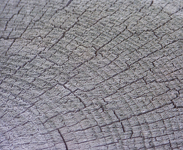 dřevo, Dřevo obilí, hrubé opracování, řezali, dřevo, pozadí, tapety