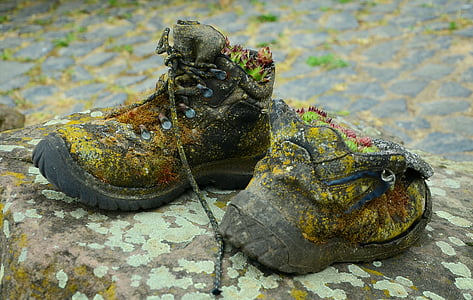 boty, staré, dekorace, sukulenty, zasadil, Kamenná zahrada, zvětralý