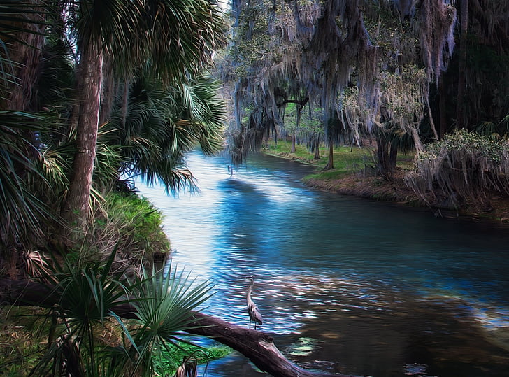 palms, florida, spring, tropical, oil painting, river, water