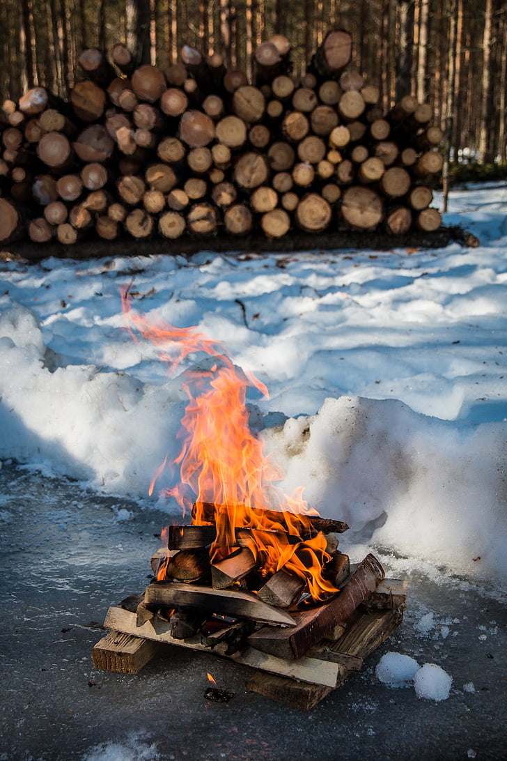 campfire, fire, winter, snow, nature, woodpile, camping
