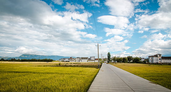 road, in rice field, blue sky and white clouds, nature, sky, blue, cloud - Sky