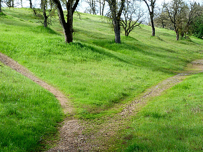 path, hiking, trail, grass, travel, landscape, outdoor