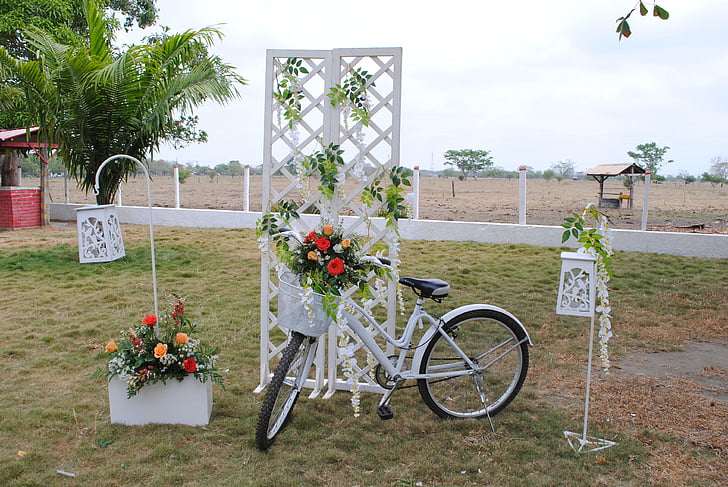 apgriezt, velosipēdu, kāzas, apdare, rozes, puķe