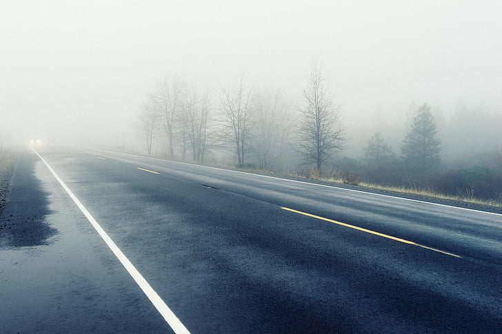 grey, asphalt, road, trees, fog, climate, headlights