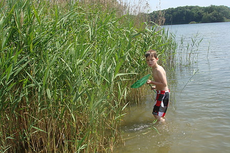 Anak laki-laki, ikan, air alami, petualangan, Reed, jala, Dom
