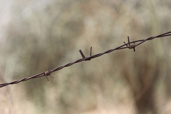 barbed wire, wire, barb wire, barbed, barb, prison, barrier