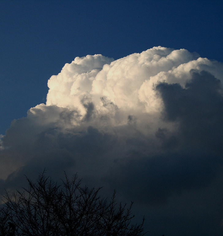cloud, large, cumulus, billowing, white, shadowed, brush