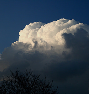 nube, grandes, Cumulus, drapeadas, Blanco, sombra, cepillo