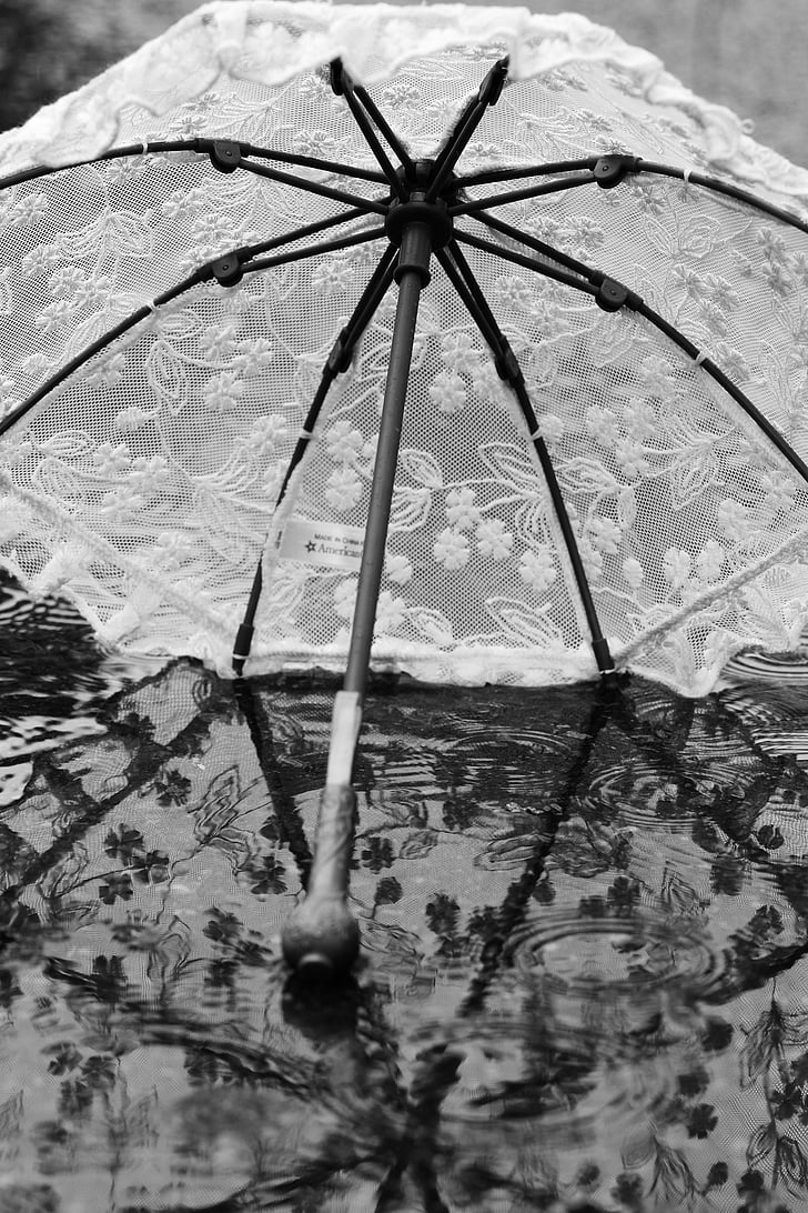paraguas, parasol, agua, lluvia, reflexión, verano, blanco y negro