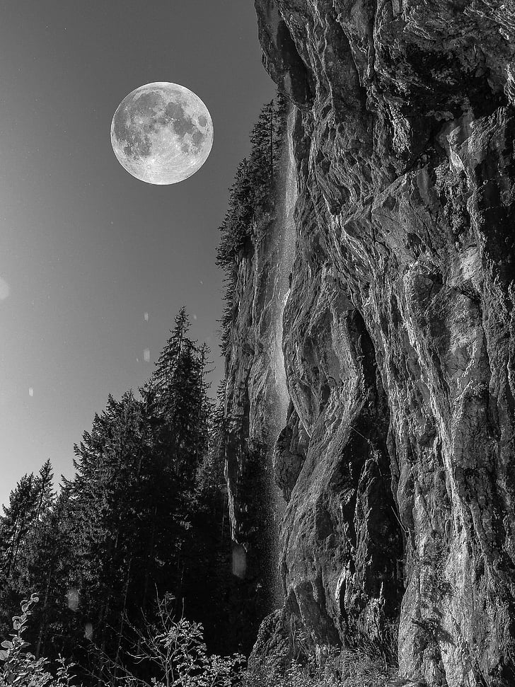 fullmåne, natt, Rock, skogen, Alpin, mörker, natt fotografi