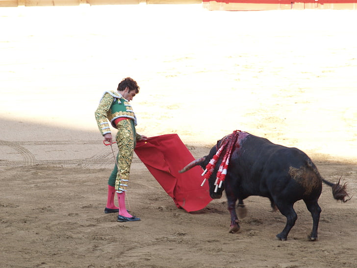 torero, sapi jantan, Spanyol, bullfights, Matador, orang-orang, di luar rumah