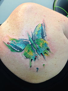 tatuaj, fluture, Rezumat, acuarelă