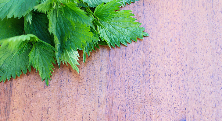 nettle on a wooden background, leaf, background, green, brown, herb, grass