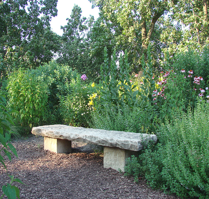 石头, 板凳, 花, 植物, 自然, 夏季