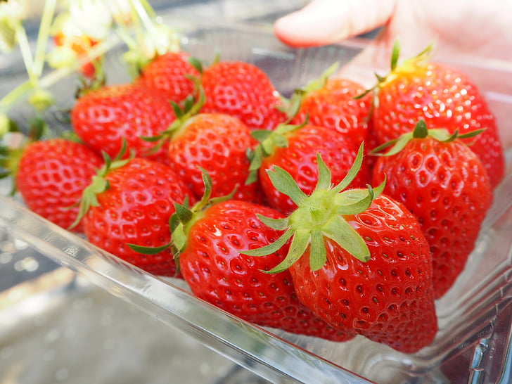 maasikas, punane, amao maasikas