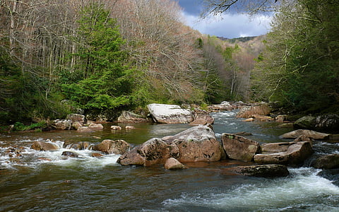 stream, river, landscape, water, rocks, nature, forest