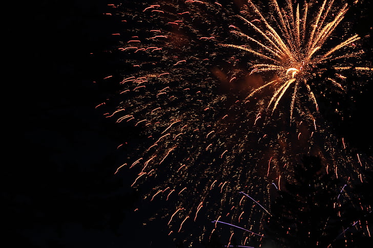 fireworks, night sky, explosion, fireworks art, golden, new year's eve, firework display