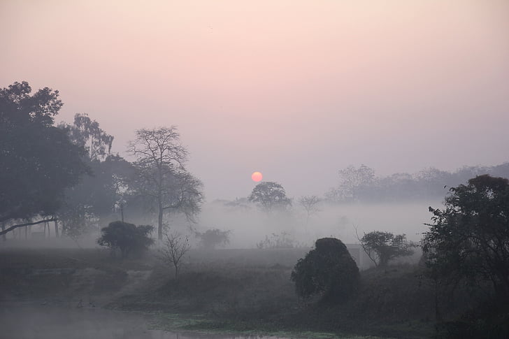 sunrise, foggy, countryside, morning, nature, sun, forest