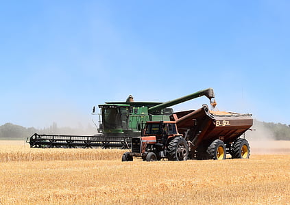 kombinirati kombajn, traktor, lijevak za punjenje, žetva, pšenica, žitarica, Poljoprivreda