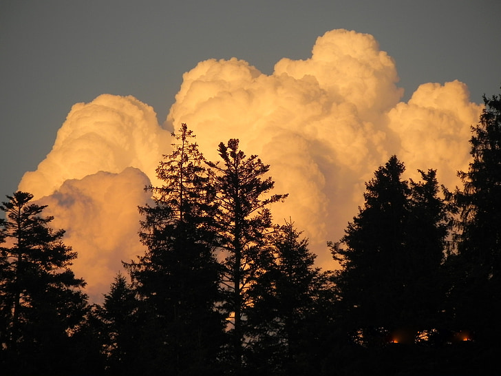 clouds, in the, evening, sunlight