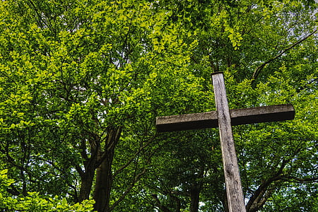 хрест, Саміт хрест, зустрічі на вищому рівні, Гора, дерев'яний хрест, альпінізм, Піші прогулянки