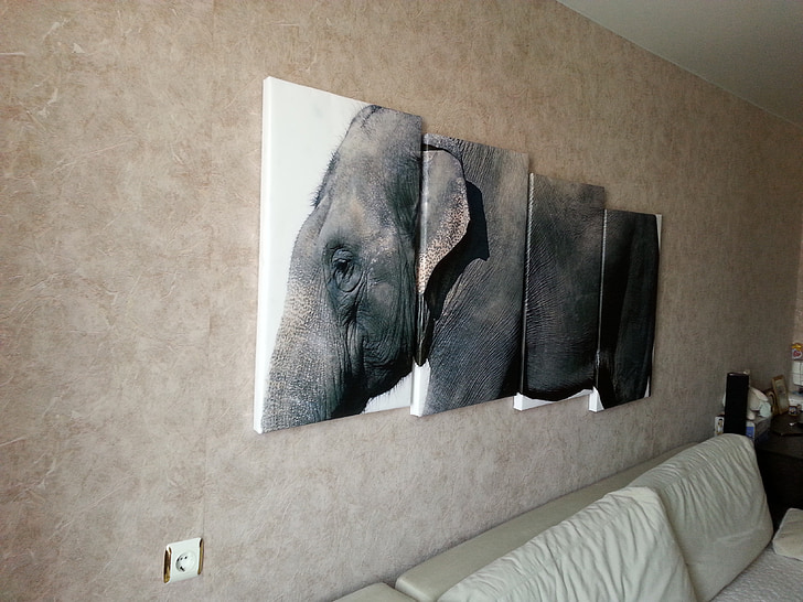 modular painting, elephant, animals, animal, mammal, wildlife, large