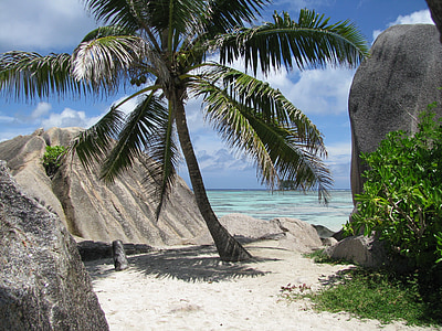 Palm, Seychelle-szigetek, La digue, tenger, sziget, Indiai-óceán, idill