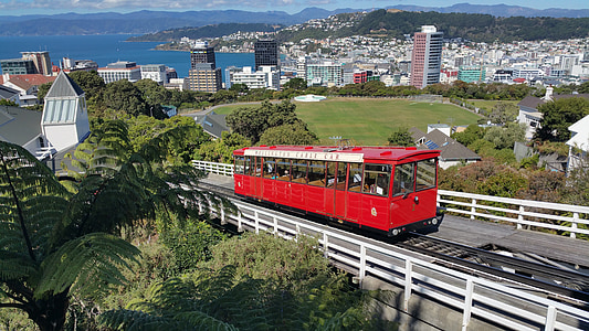 Wellington, Nya Zeeland, spårvagn, staden, huvudstad, berömda, linbana