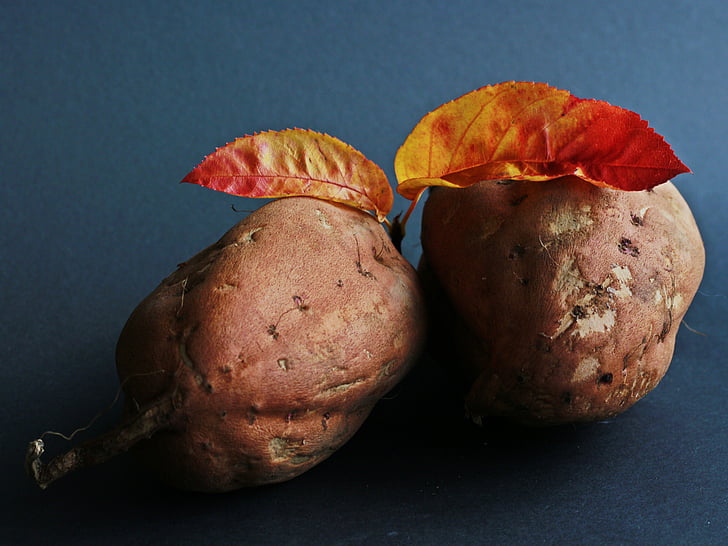 sweet potato, potato, eat, food, tasty, agriculture, benefit from