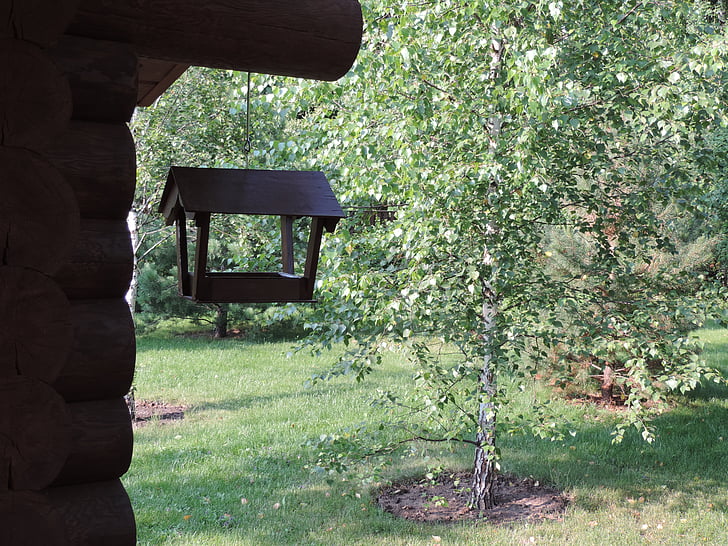birdhouse, vasarnamį, miško