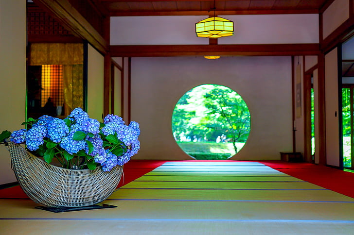 hortenzija, Kamakura, Svijetao mjesec od, cvijeće