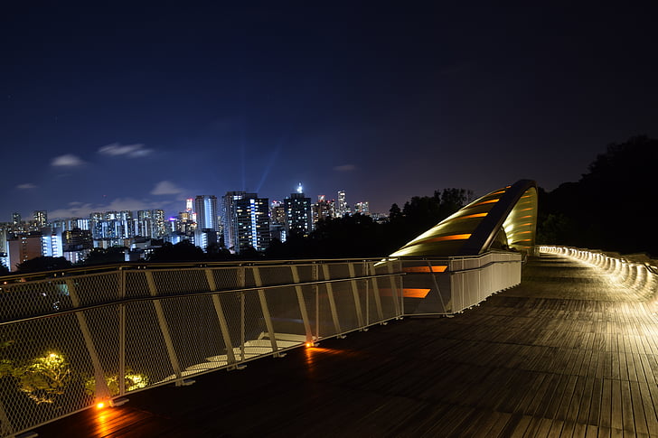 Singapūras, Henderson banga tiltas, Architektūra, lieptas, sijos, naktį, miesto peizažas