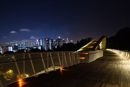 Cingapura, ponte de onda Henderson, arquitetura, ponte pedonal, vigas, à noite, paisagem urbana