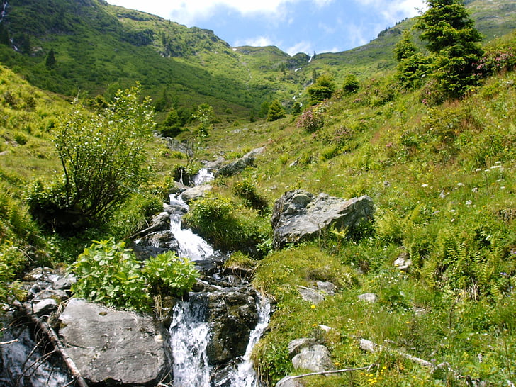 gorski potok, Bach, gore, Alpski, Alpski hoje, narave, krajine