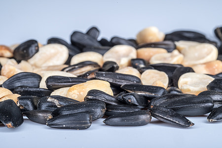 peanuts, seeds, sunflower seeds, background, sunflower, black, placer