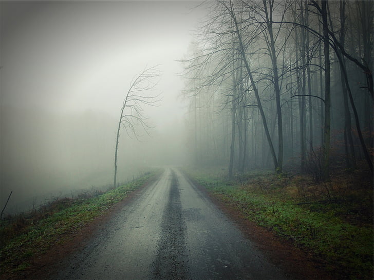 ceaţă, cale ferată, în timpul zilei, murdărie, drumul, ceaţă, întuneric