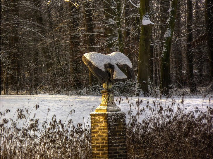 statue, winter, garden, bird, snow, tree, nature