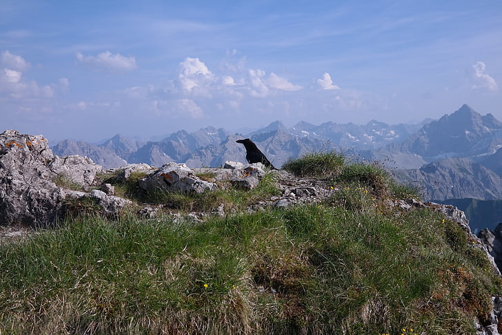 chifre duro, Cimeira, perspectivas, Alpina, Allgäu, Alpes Allgäu, hochvogel