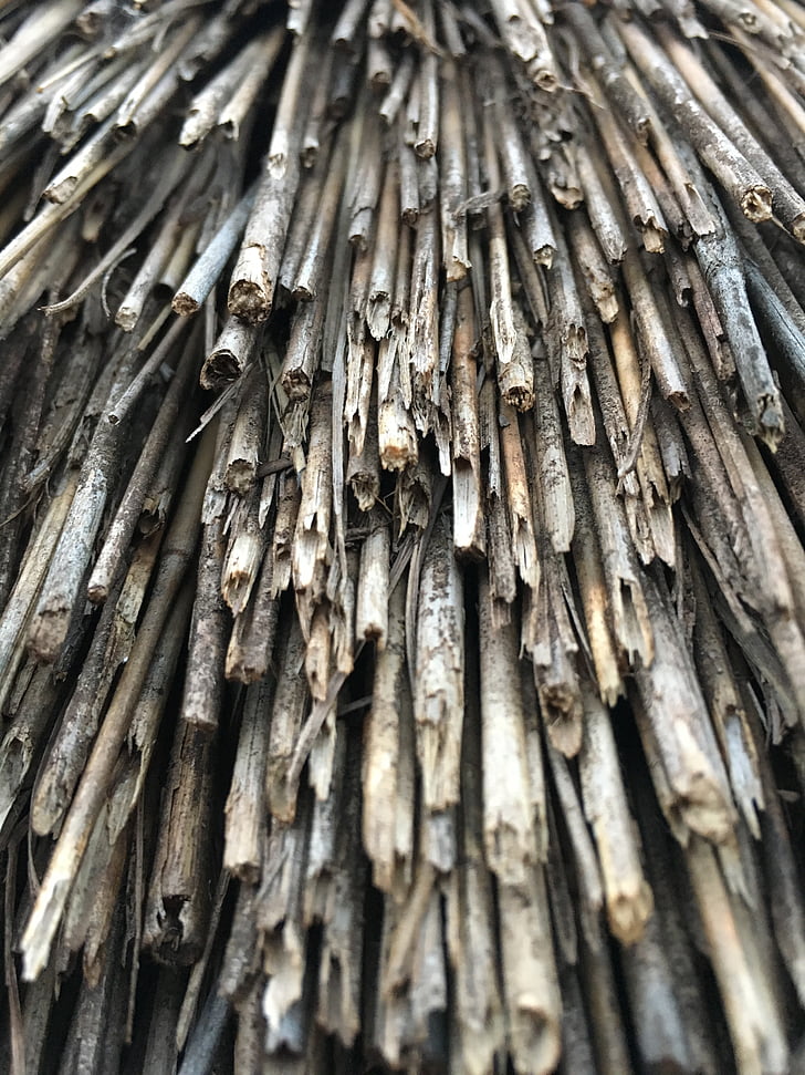 straw, texture, nature, thatch