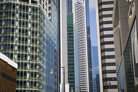 Zdjęcie, Wysoka, wzrost, budynki, budynek, Biuro, okno