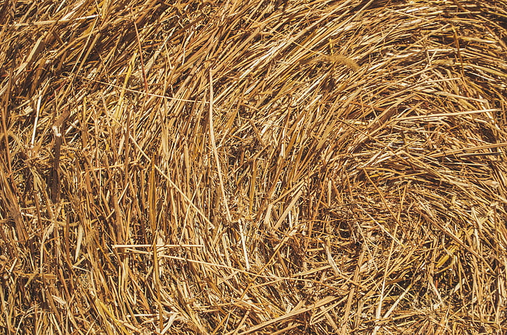 wheat, hay, farm, countryside, texture, agriculture, nature